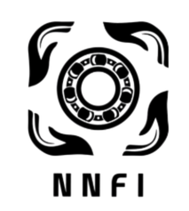 NNFI Rulman Logo
